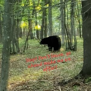 Stop! Don't leave go ahead make me an offer!